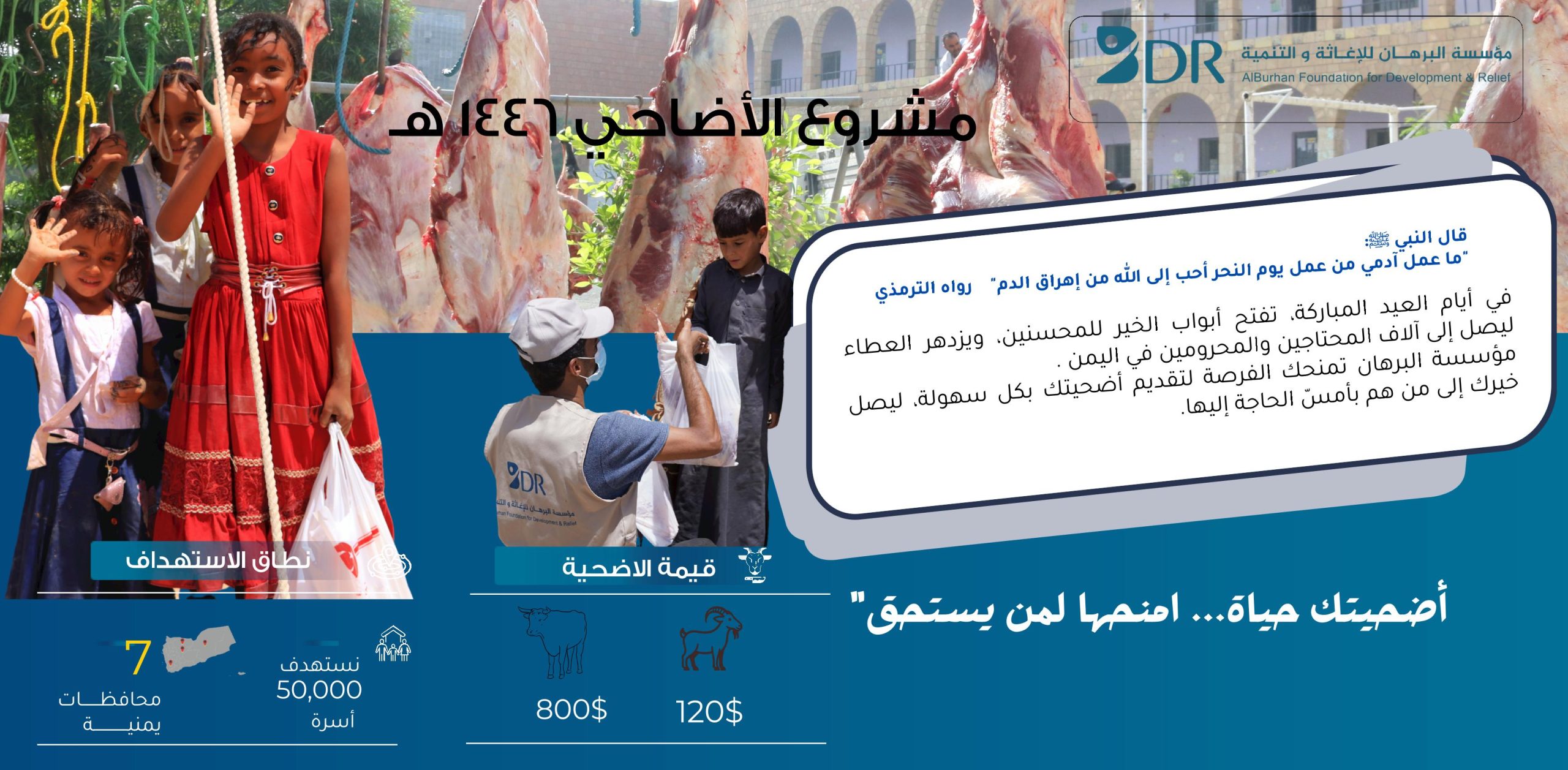 الاضاحي