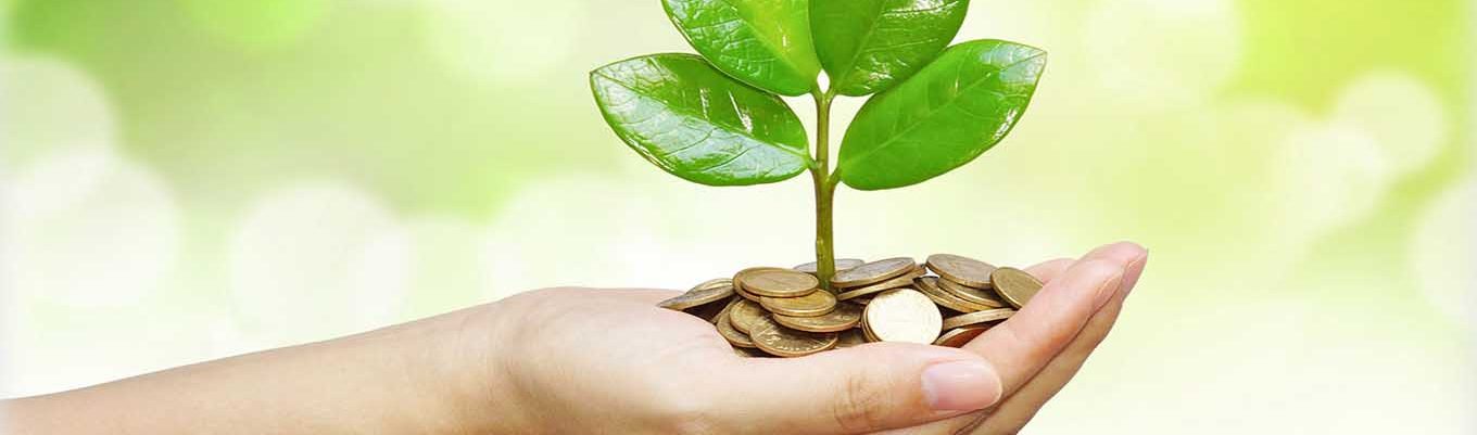 Join us to support AlBurhan’s Projects